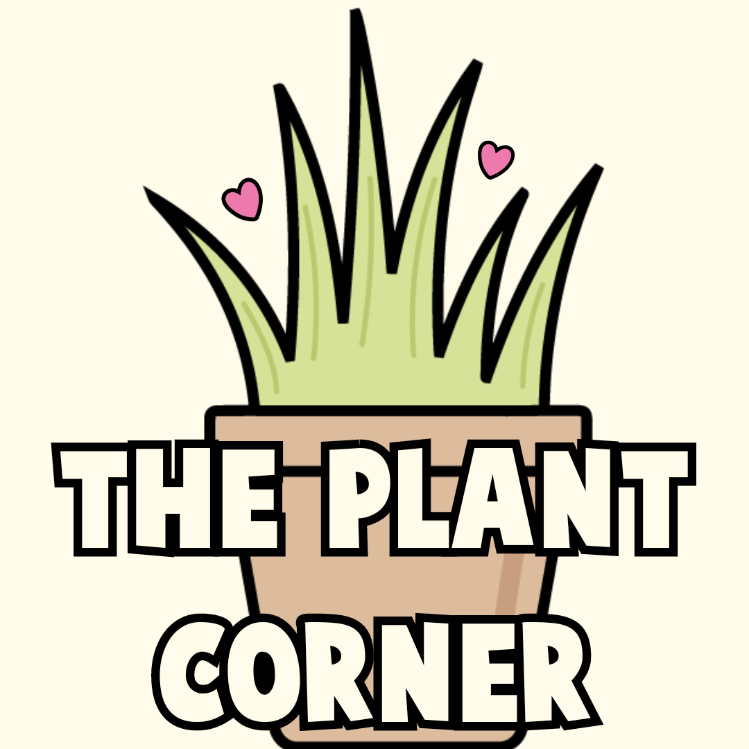 The Plant Corner